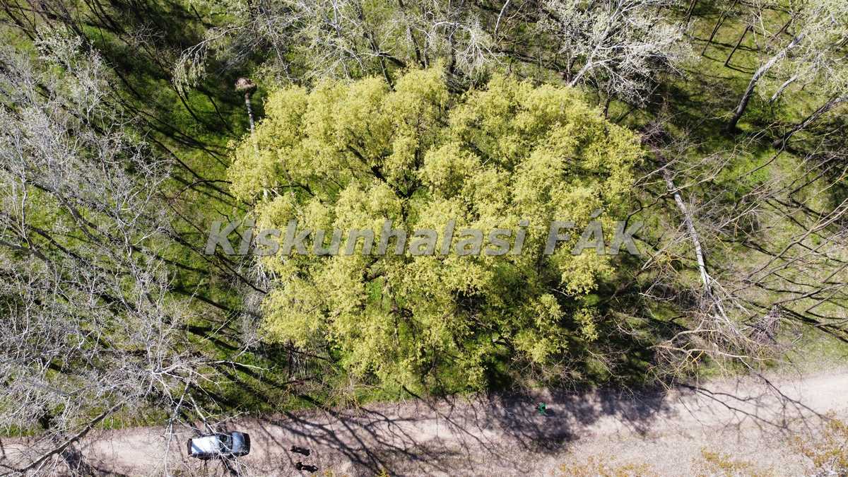 Photo 6554167 DJI 567 jpg 4127726 0 20214241228 photo original