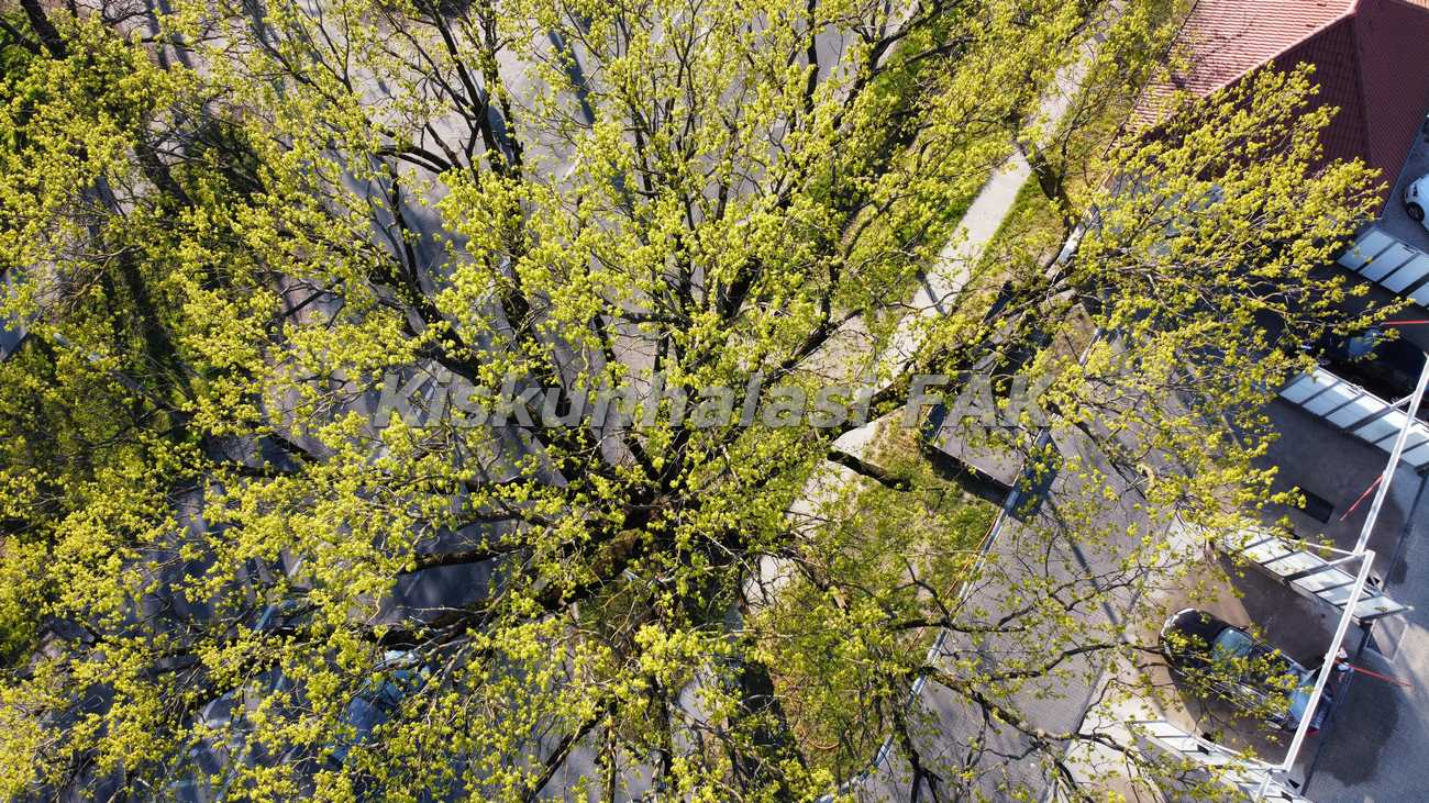 Photo 6554171 DJI 571 jpg 4653105 0 2021424175138 photo original