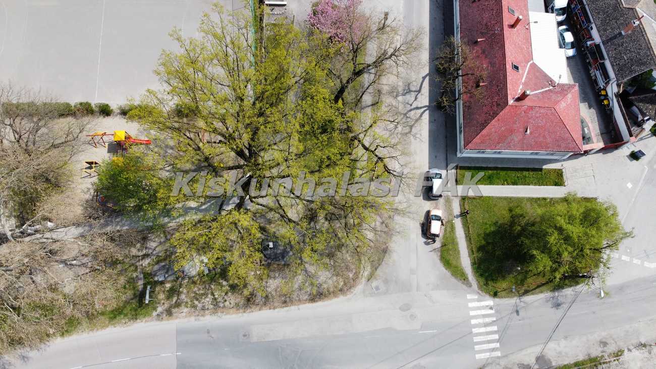 Photo 6554182 DJI 582 jpg 4301529 0 202142511408 photo original