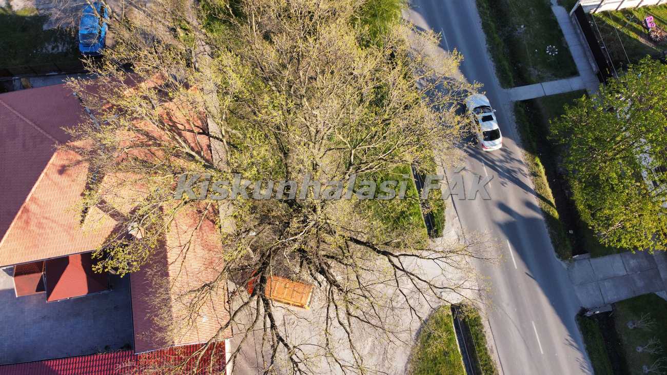 Photo 6554177 DJI 577 jpg 4167196 0 202142418548 photo original