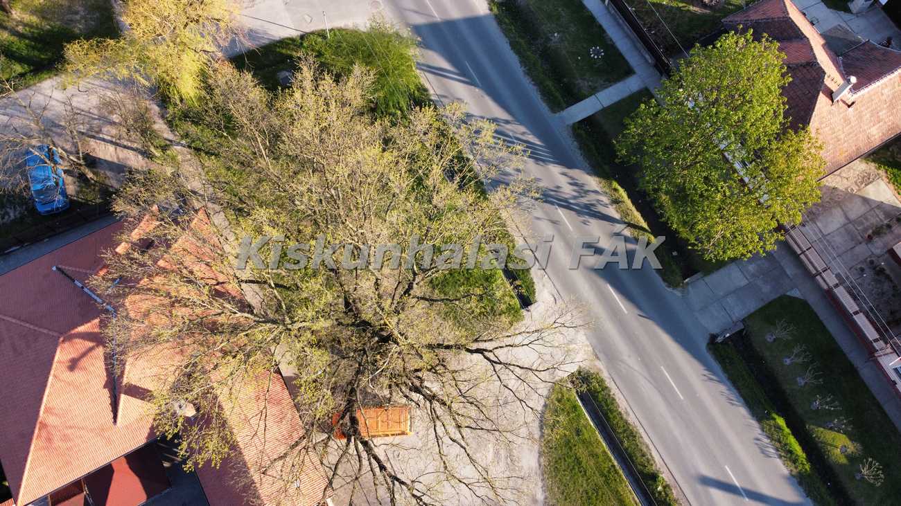 Photo 6554178 DJI 578 jpg 4121775 0 202142418558 photo original